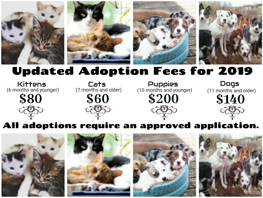 how much is an adoption fee for a dog